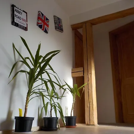 Prázdninový dům Schock Thale